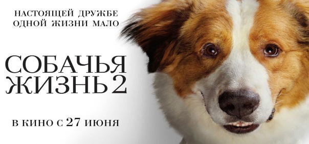 Рекомендация фильмов фэнтези по темам: Собачья жизнь 2 (2019)