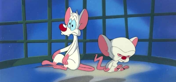 Безумные мультсериалы про животных, которые мы любили смотреть в 90-ых: Пинки и Брейн