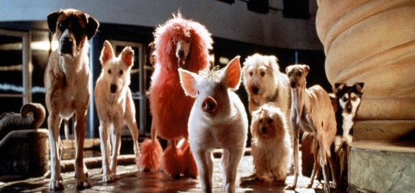 Список лучших фильмов фэнтези про животных: Бэйб: Поросенок в городе (1998)